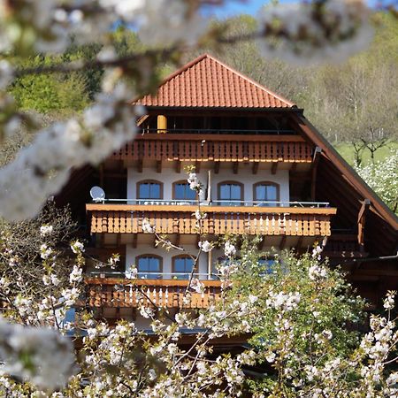 Kurparkhotel Faisst Bad Peterstal-Griesbach Eksteriør bilde
